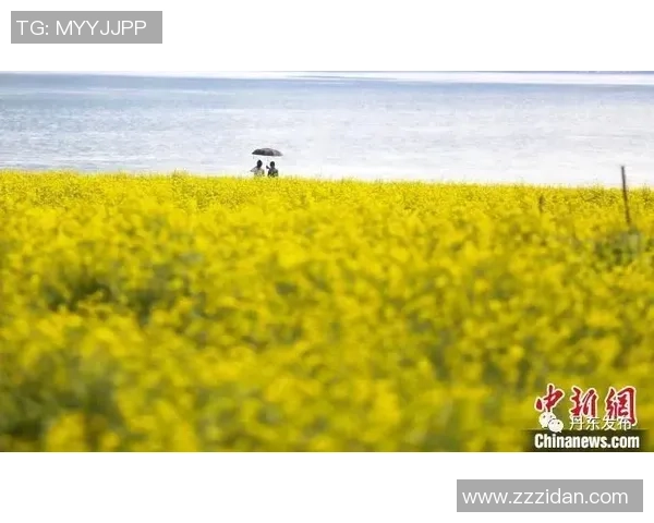 都市:天际线2全新扩展包桥梁与港口正式上线带来更多城市建设乐趣 都市:天际线2全新扩展包桥梁与港口正式上线带来更多城市建设乐趣